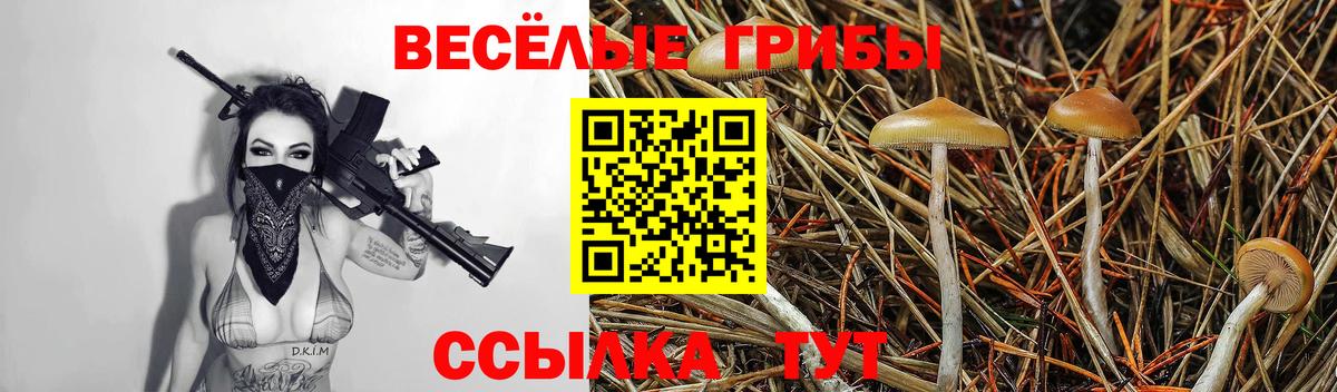 Галлюциногенные грибы GOLDEN TEACHER  Галлюциногенные грибы ЛСД  даркнет сайт  Курчалой  Вход с VPN 