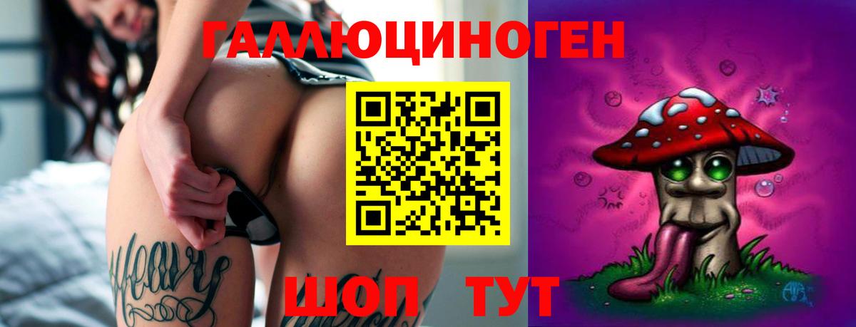 Галлюциногенные грибы ЛСД Курчалой